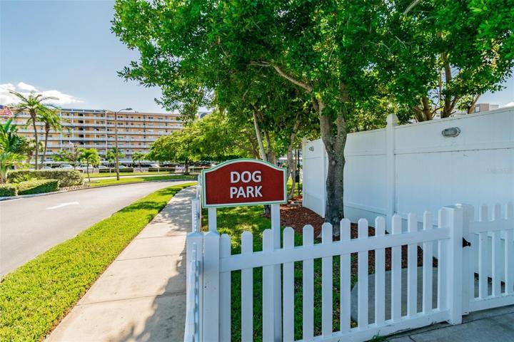 Small dog park