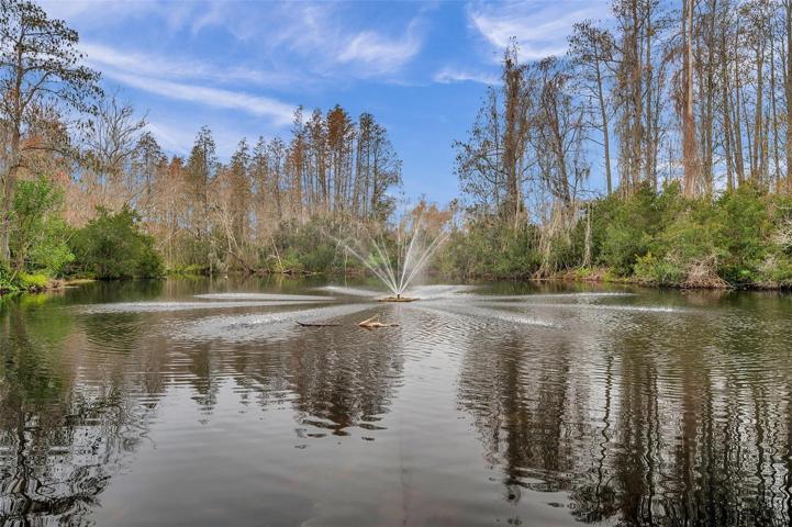 Community Lake