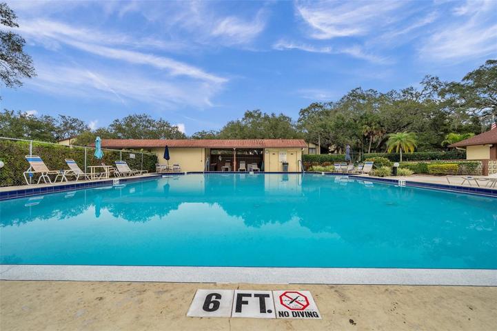Community Pool