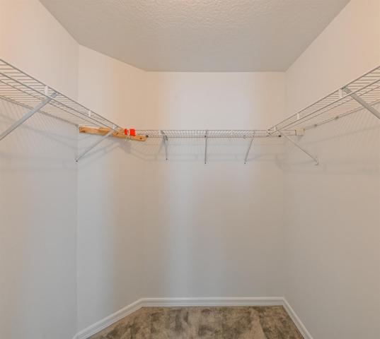Primary Bedroom Closet