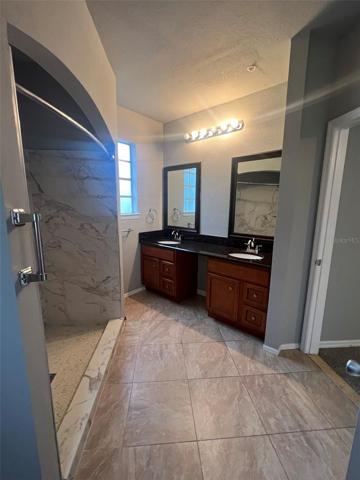 Newly renovated Primary bath