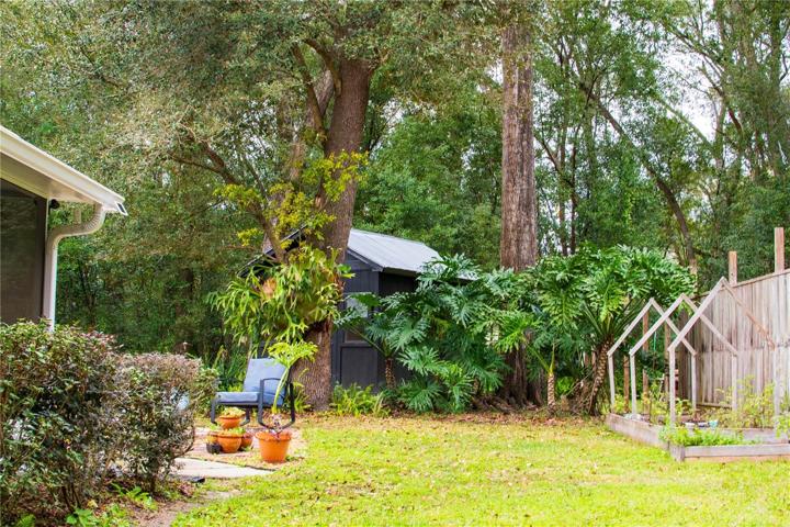 Backyard Shed and Fence