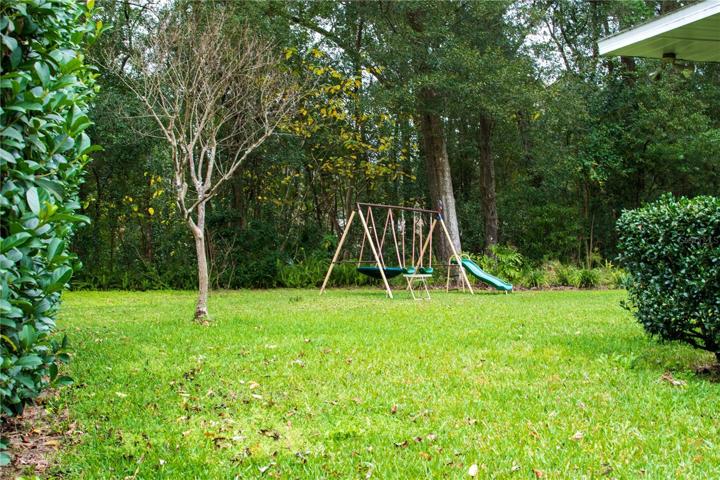 Backyard view