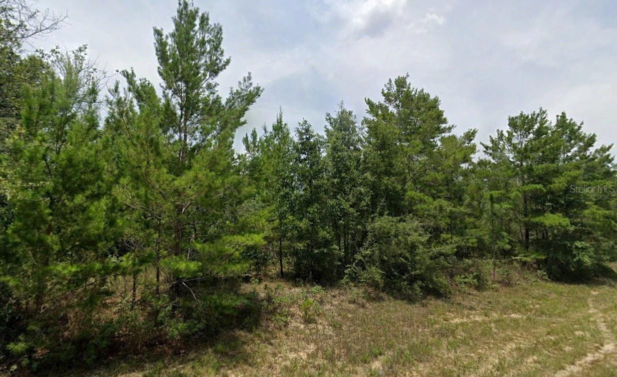 Chipley, Florida 32428, 0 , 0 ,0,Land,For Sale,HAMPSHIRE,0,O6170616