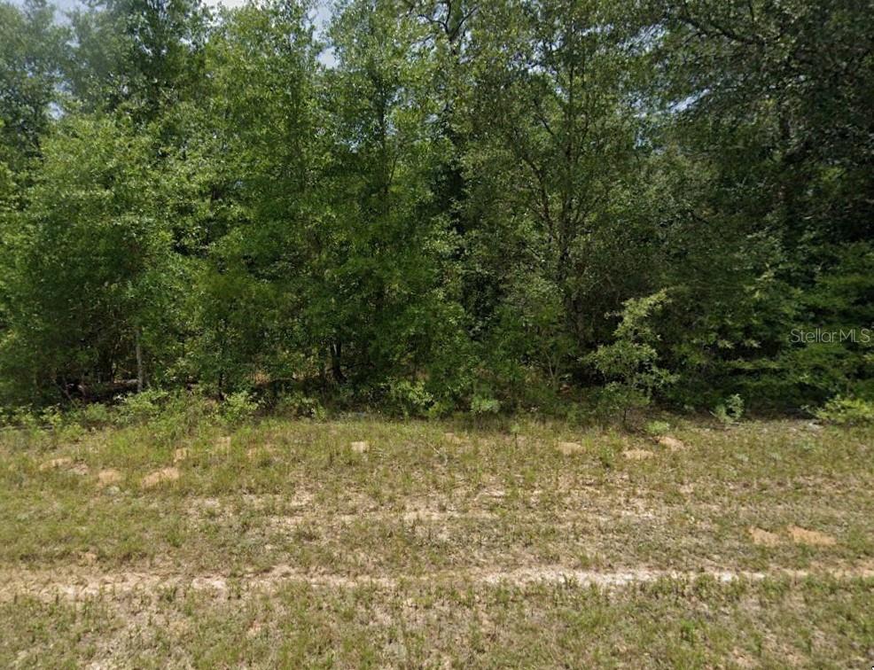 Chipley, Florida 32428, 0 , 0 ,0,Land,For Sale,PINTADO,0,O6170634