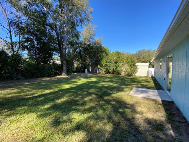 back yard