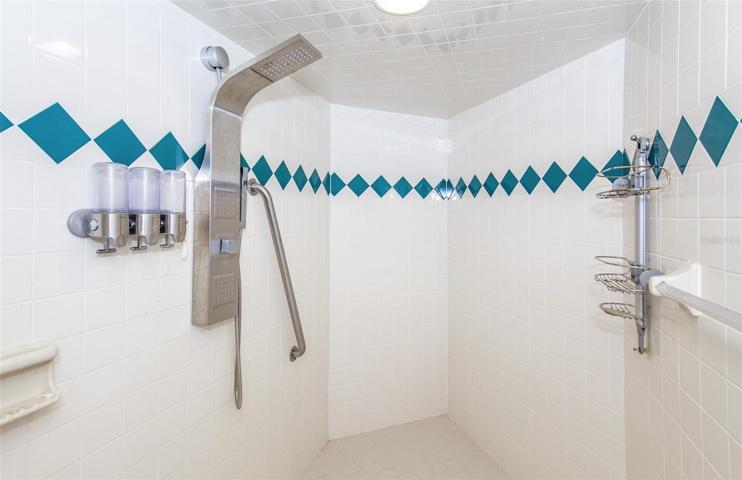 Walk-in Shower with 2 Shower Heads
