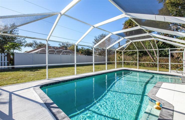 Heated Pool with Brand New Cage in February