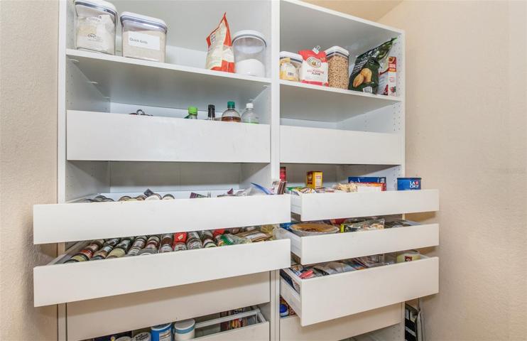 Walk-in Pantry with Pull-Outs