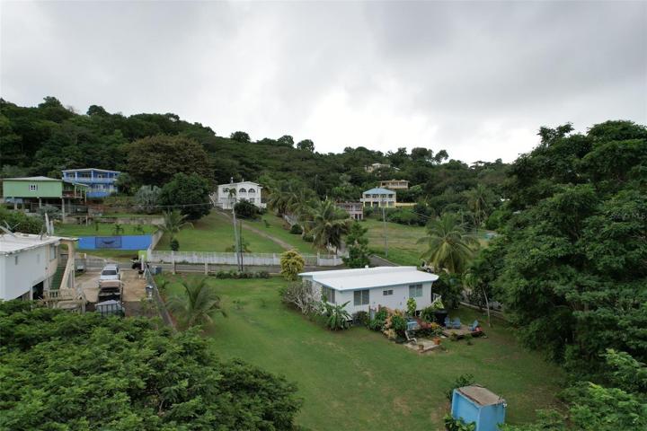 Back yard