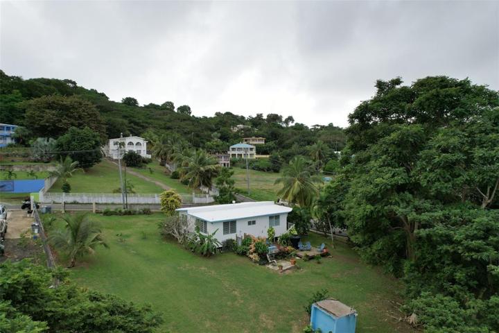 Back yard