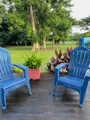 Back yard deck