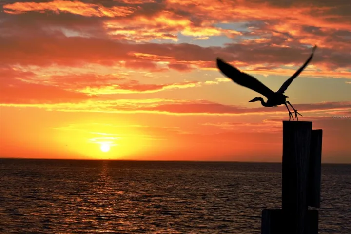 Great views from your own balcony!!