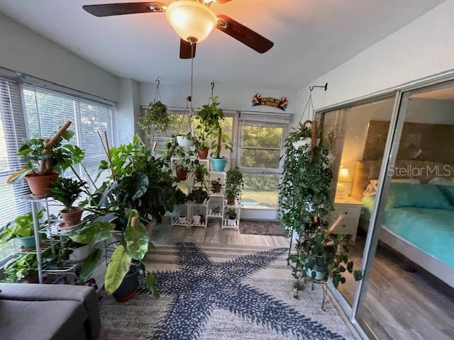 Lanai
