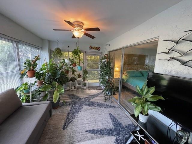 Lanai