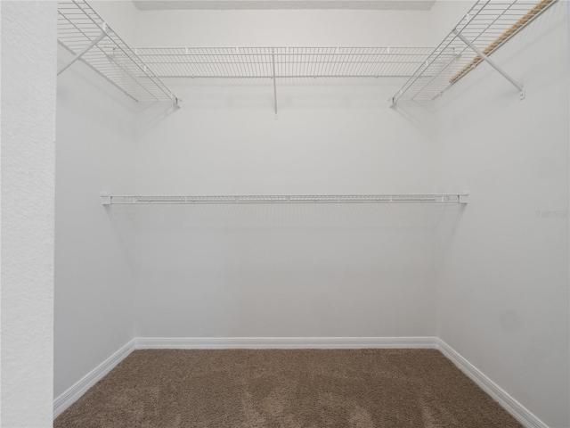 Walk-in Closet - MASTER