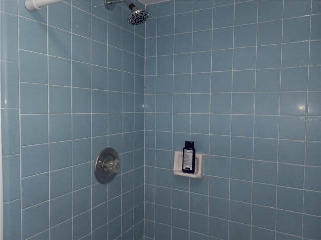 Master Shower