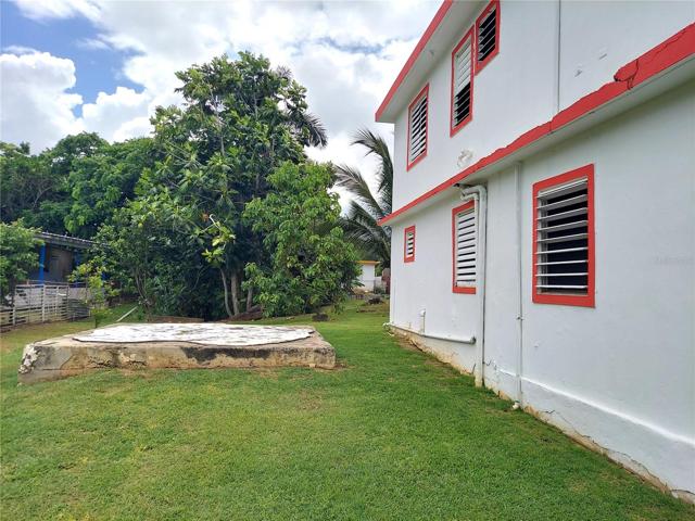 Patio/Patio