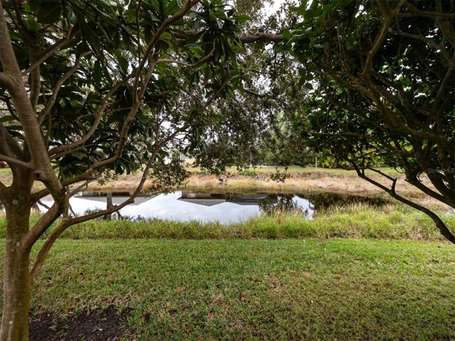 View from lanai-