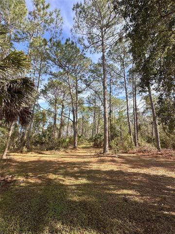 101 Acre Tavares Nature Park