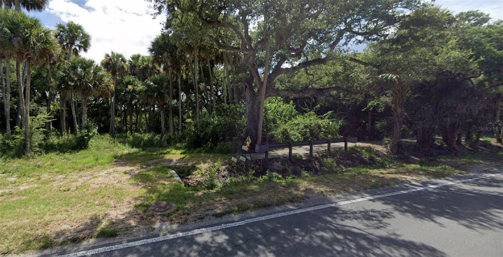 New Smyrna Beach, Florida 32169, 0 , 0 ,0,Land,For Sale,SAXON,0,NS1080367