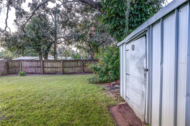 Shared Backyard