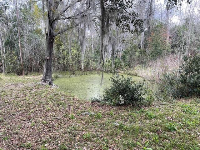 NATURAL POND