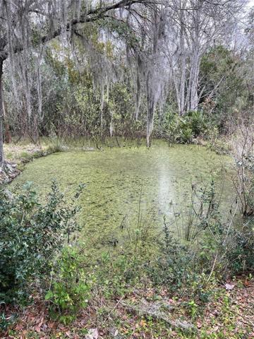 NATURAL POND