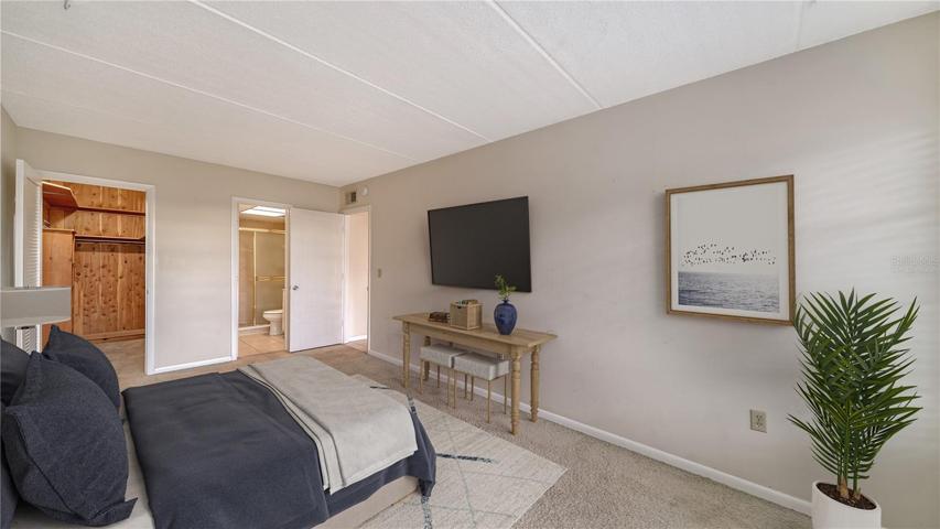 VIRTUALLY STAGED primary bedroom