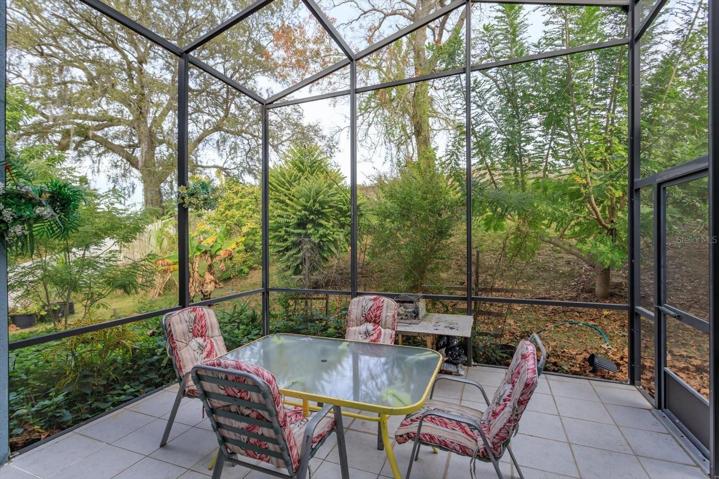 Standing in covered patio looking out to screened birdcage.