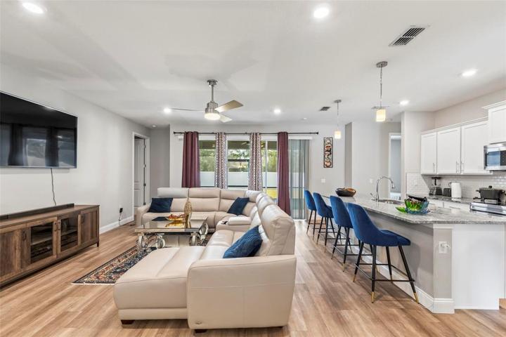Living Room - Kitchen