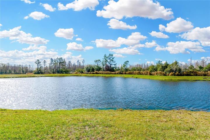 Pond view with conservation behind it for added privacy