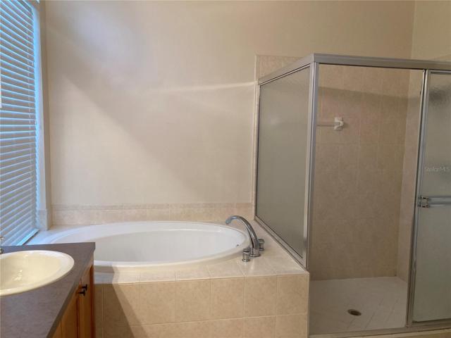 Tub and shower in primary bath
