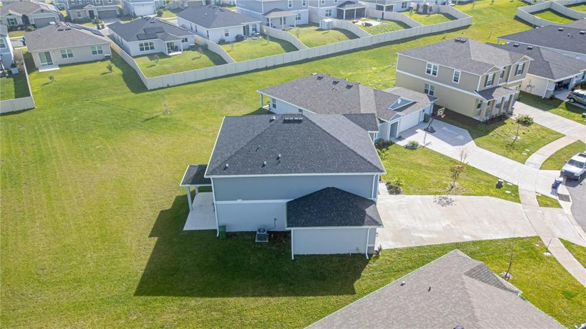 BIG BACKYARD