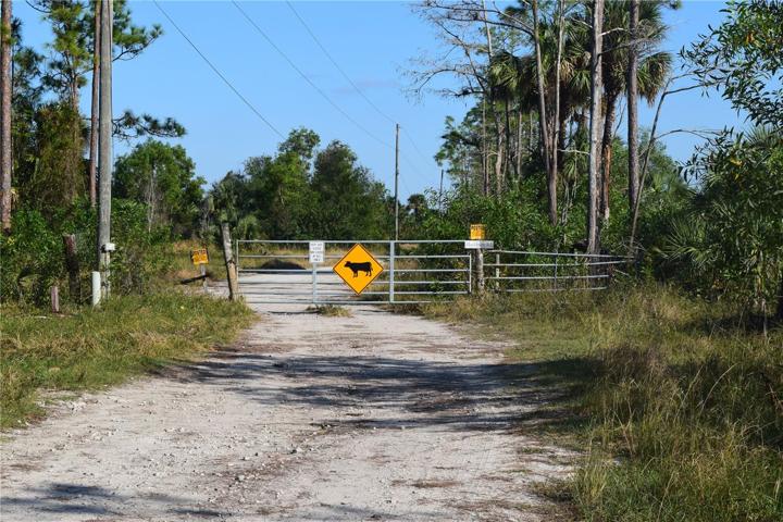 5 acres of land
