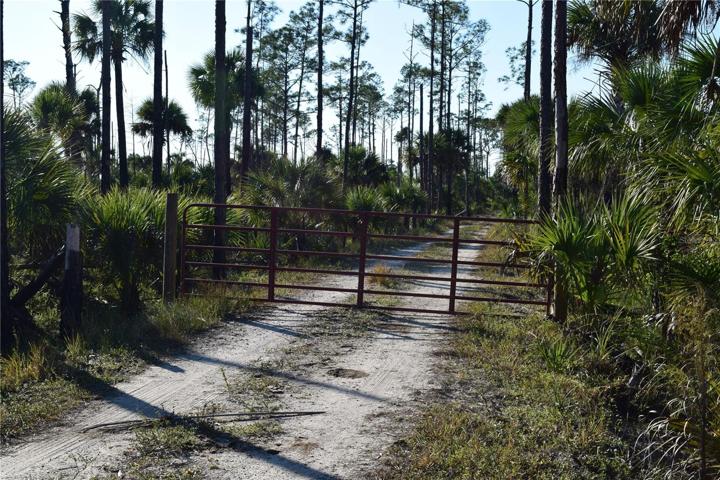 security gate