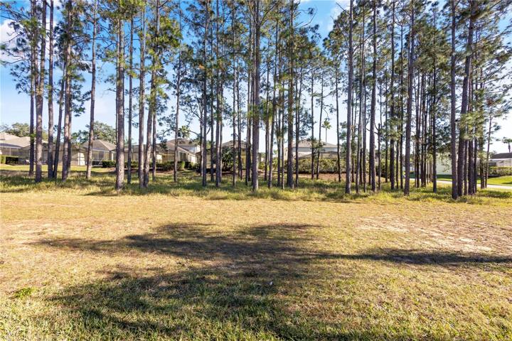 There are plans to eventually build a private local access road at the rear of Tupelo and Orista Dr Residents will be able to travel to Publix etc without joining US 27. Buyer and/or buyer's agent are responsible for their own due diligence, including but not limited to verifying with HOA directly on whether hedges or privacy fence can be used.