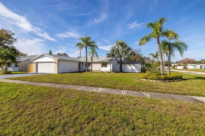 Large corner lot