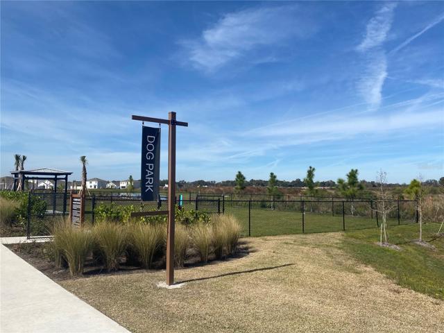 Dog Park