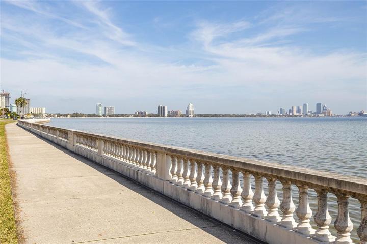 Iconic Bayshore Boulevard sidewalk
