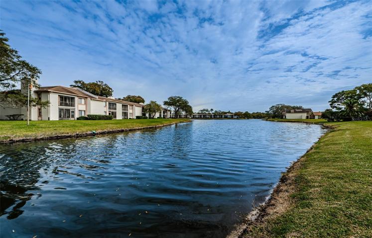 Peaceful Pond Views