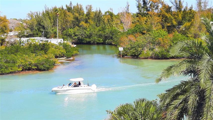 Inlet to 28 Plumosa