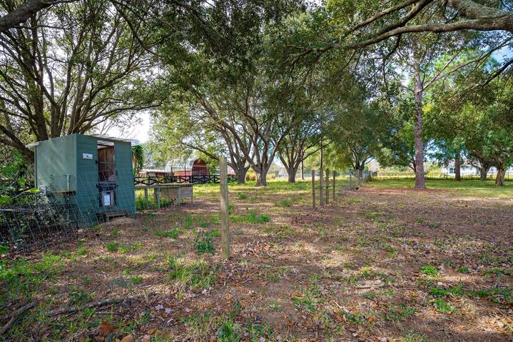 Backyard and Chicken Coupe Conveys