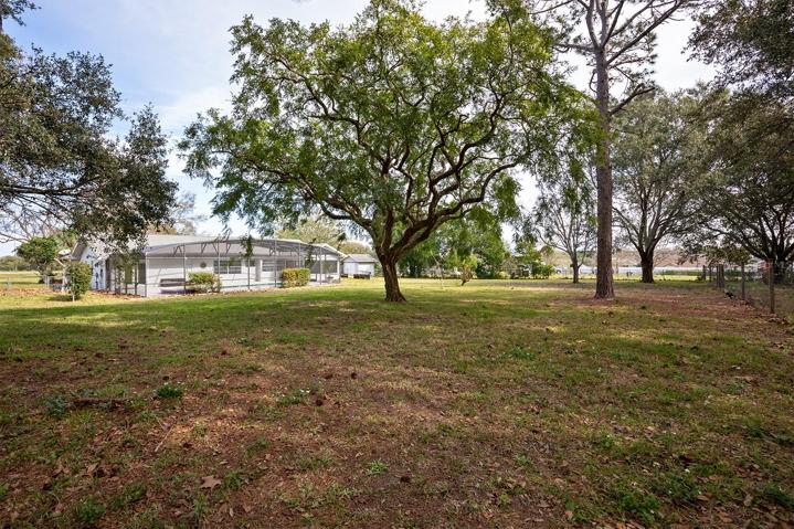 Rear Yard