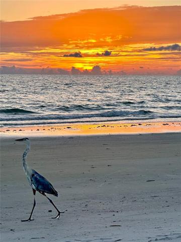 Are you ready to be here...