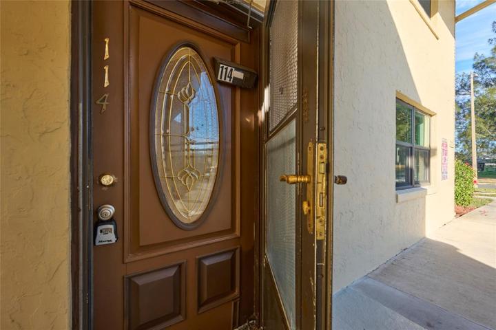 Hurricane door and decorative entry door