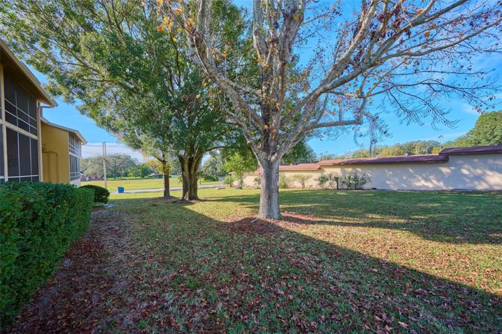 Beautiful greenspace beyond the lanai