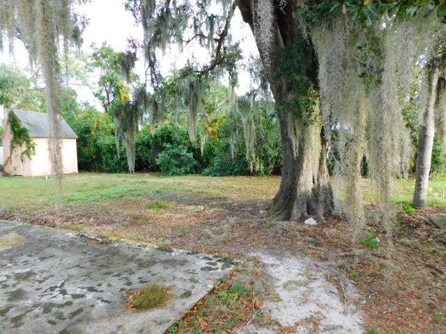 Shed - back yard