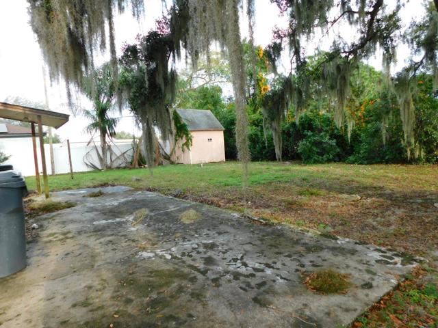 Back yard