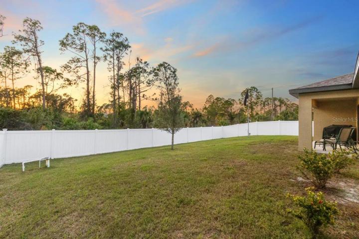 Huge fenced-in back yard.